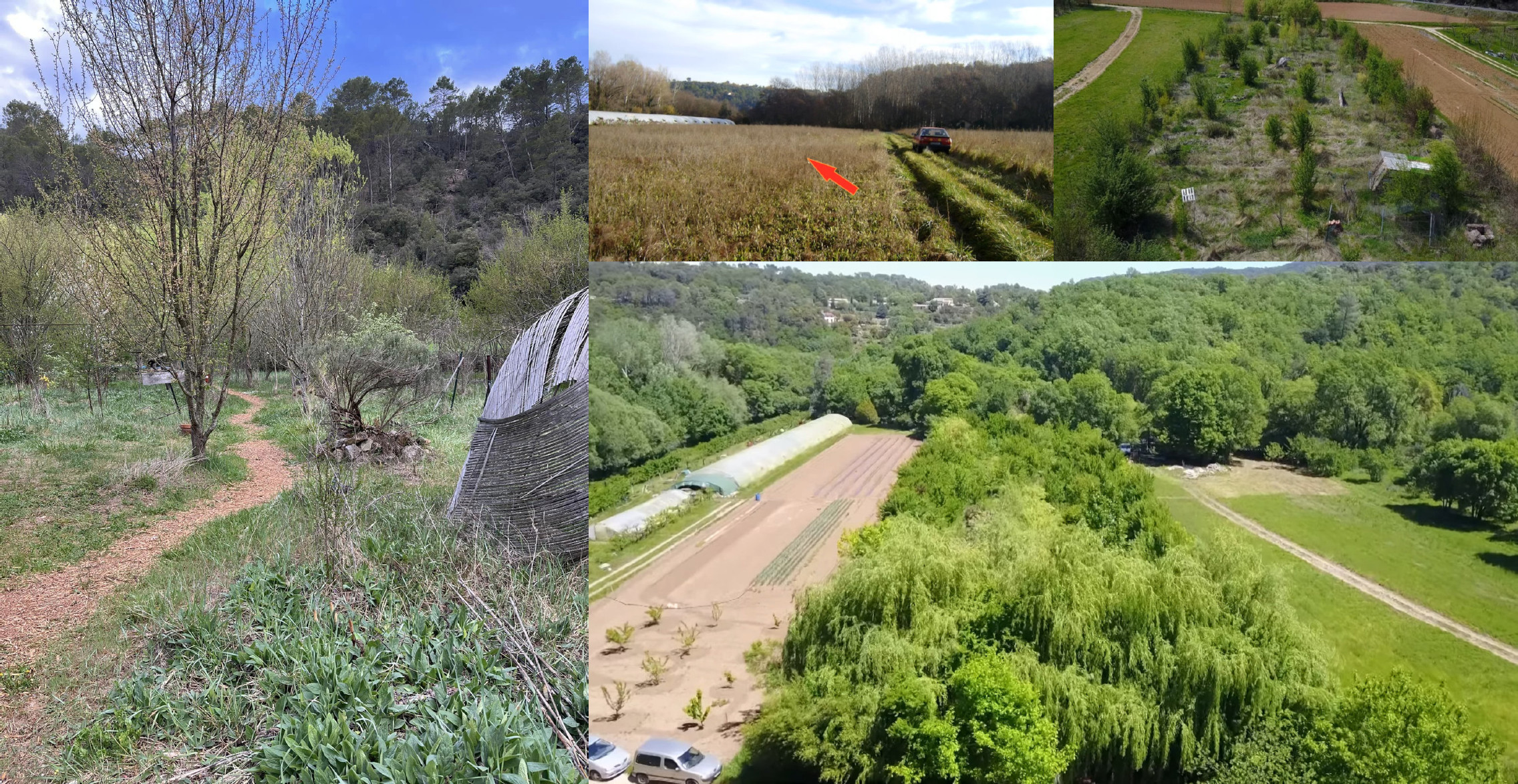 Une vue idyllique sur le jardin du Grand Jas et son évolution au fil des années\label{gcfig:jas1}